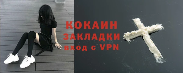 индика Липки