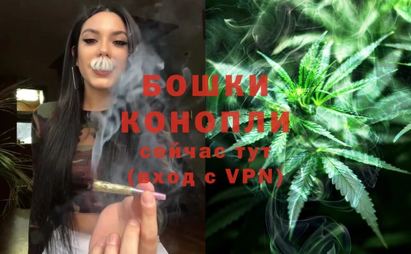 индика Липки