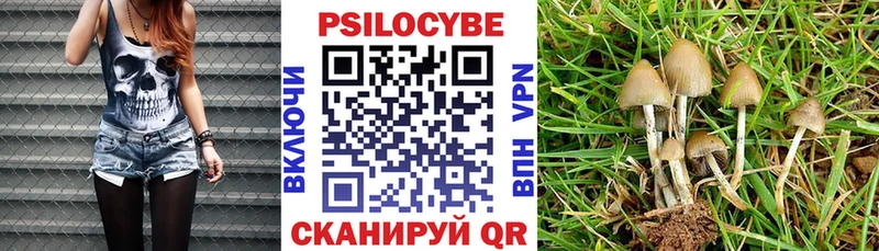 Галлюциногенные грибы прущие грибы  Меленки 
